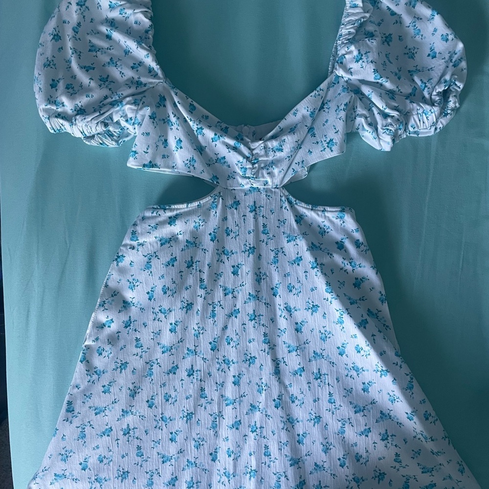 Zara White and Blue Floral Dress